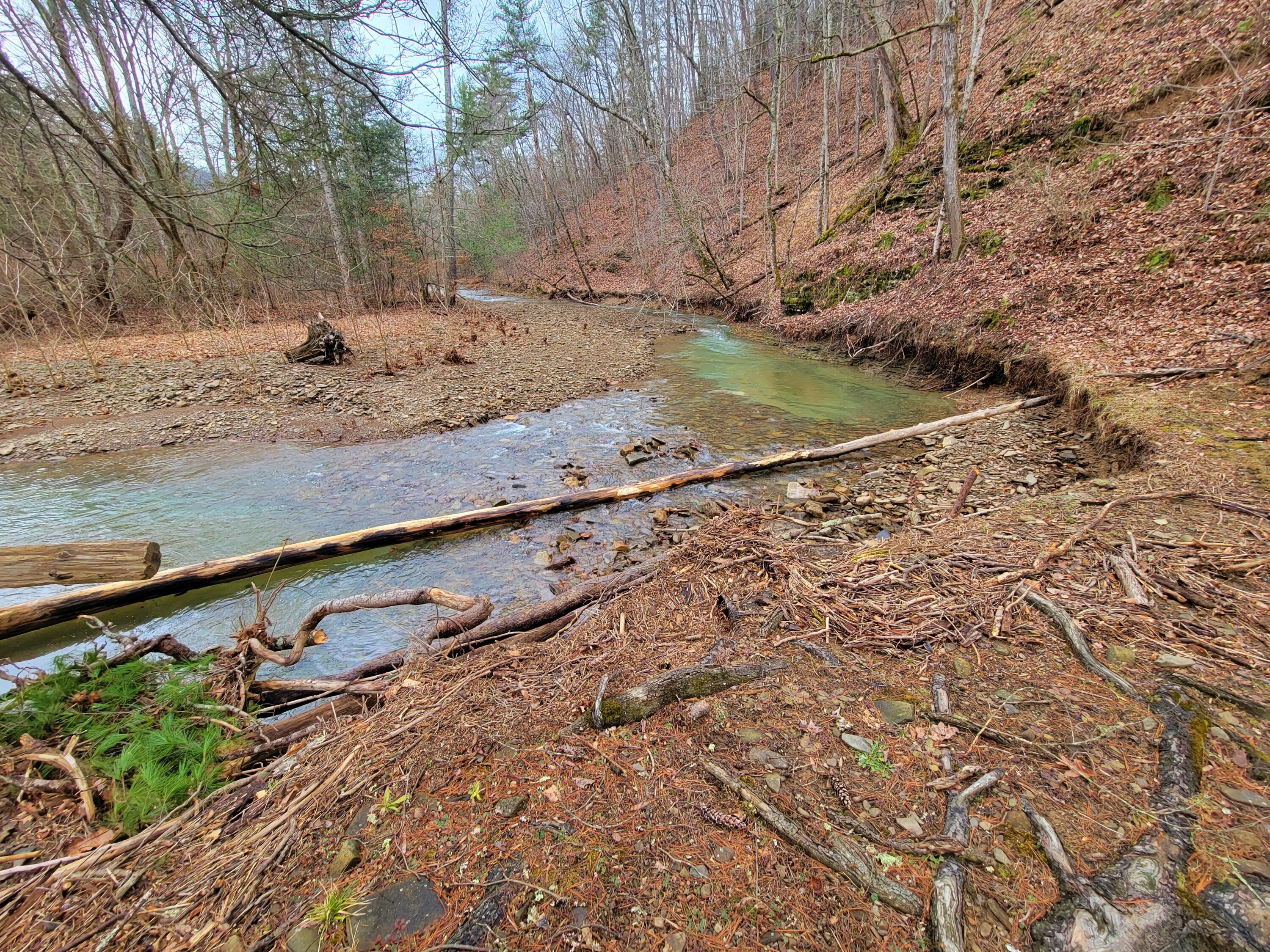 1270 Harts Run Road Caldwell, WV 24925 - Photo 8 of 46 Gallery Image 8