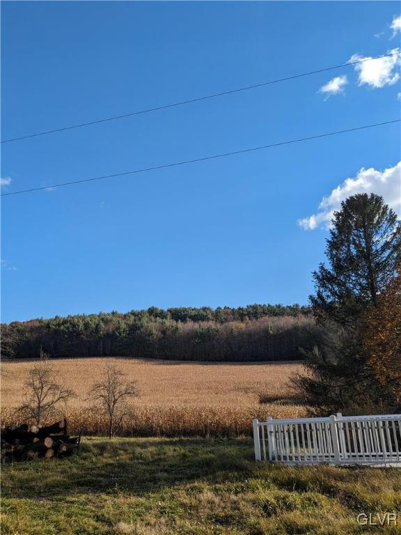 939 Molasses Valley Road Kunkletown, PA 18058 - Photo 4 of 5 7 Acre Lot