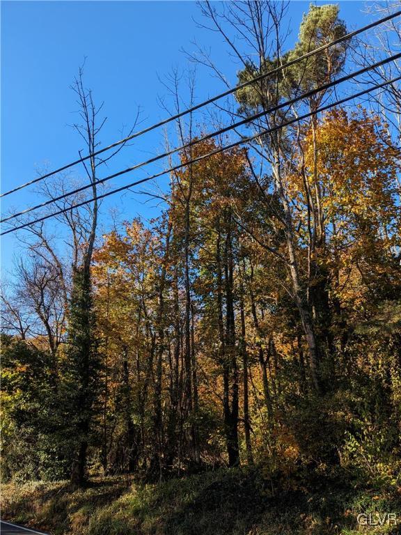 939 Molasses Valley Road Kunkletown, PA 18058 - Photo 5 of 5 7 Acre Lot