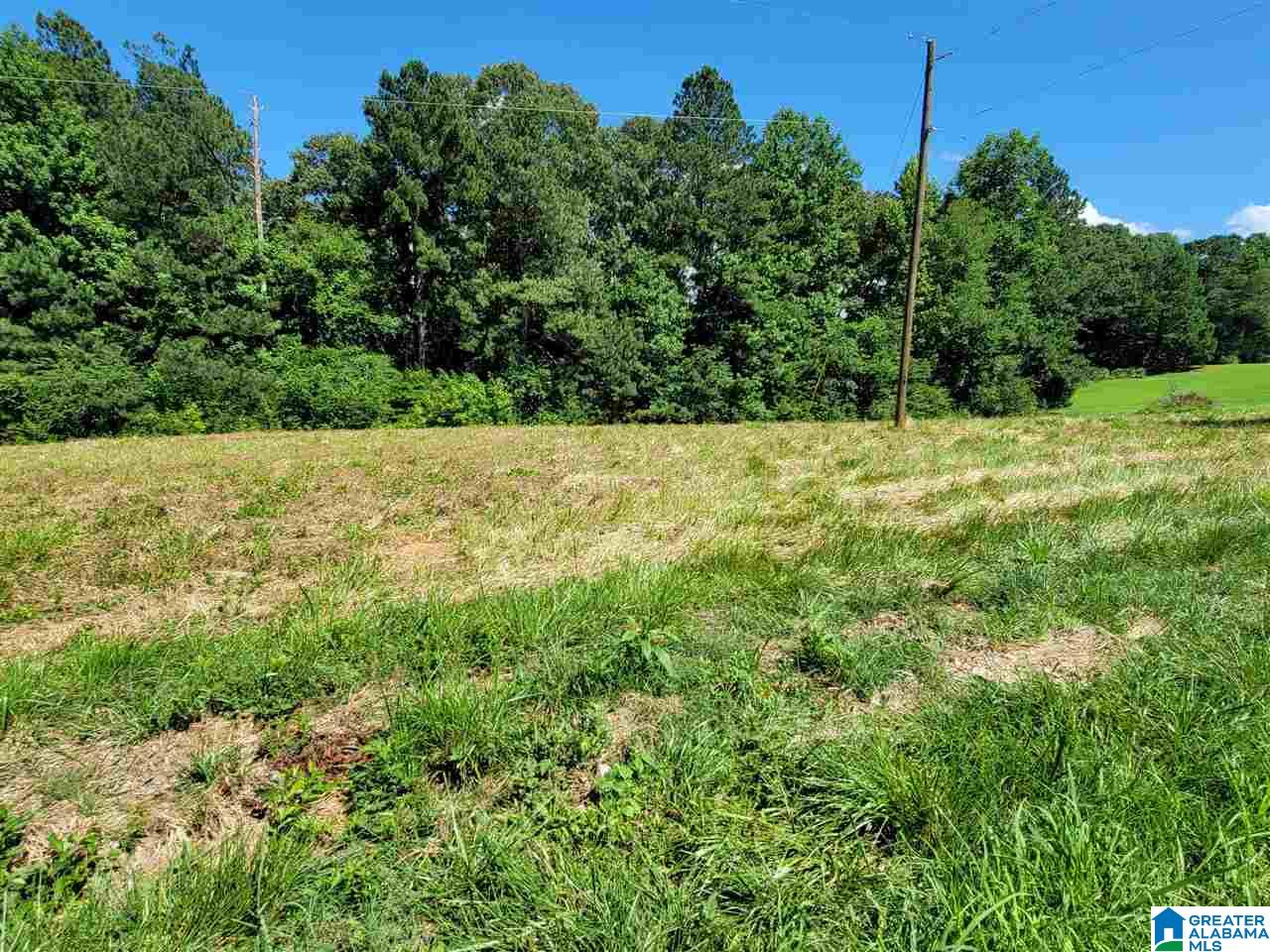 0 County Road 663 Ranburne, AL 36273 - Photo 3 of 5