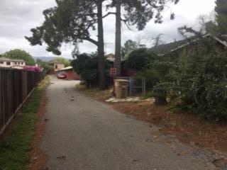 20860 McClellan Road Cupertino, CA 95014 - Photo 3 of 6 a view of a road with a trees