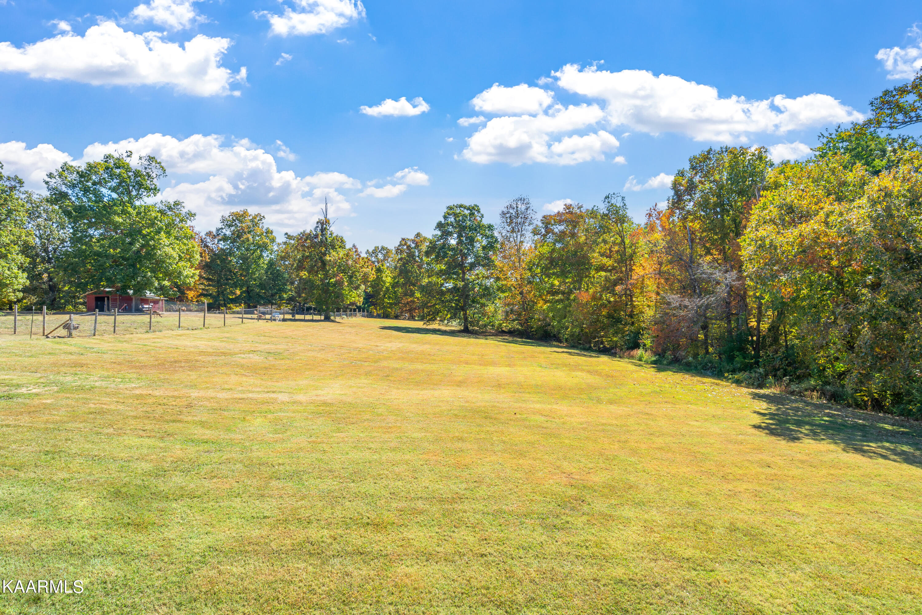 210 Curtis Road Tellico Plains, TN 37385 - Photo 40 of 57 210 Curtis Road-28