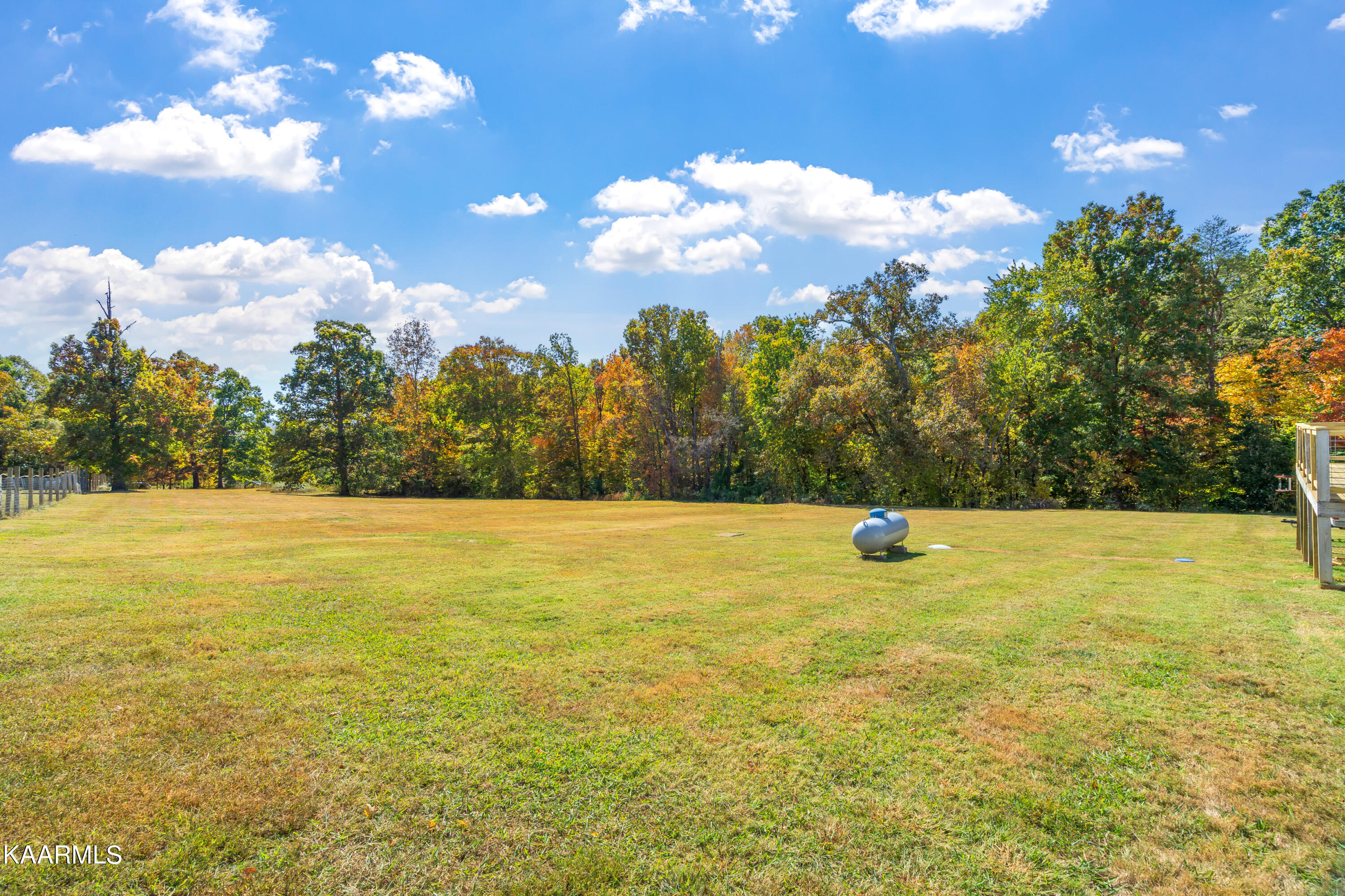 210 Curtis Road Tellico Plains, TN 37385 - Photo 41 of 57 210 Curtis Road-33