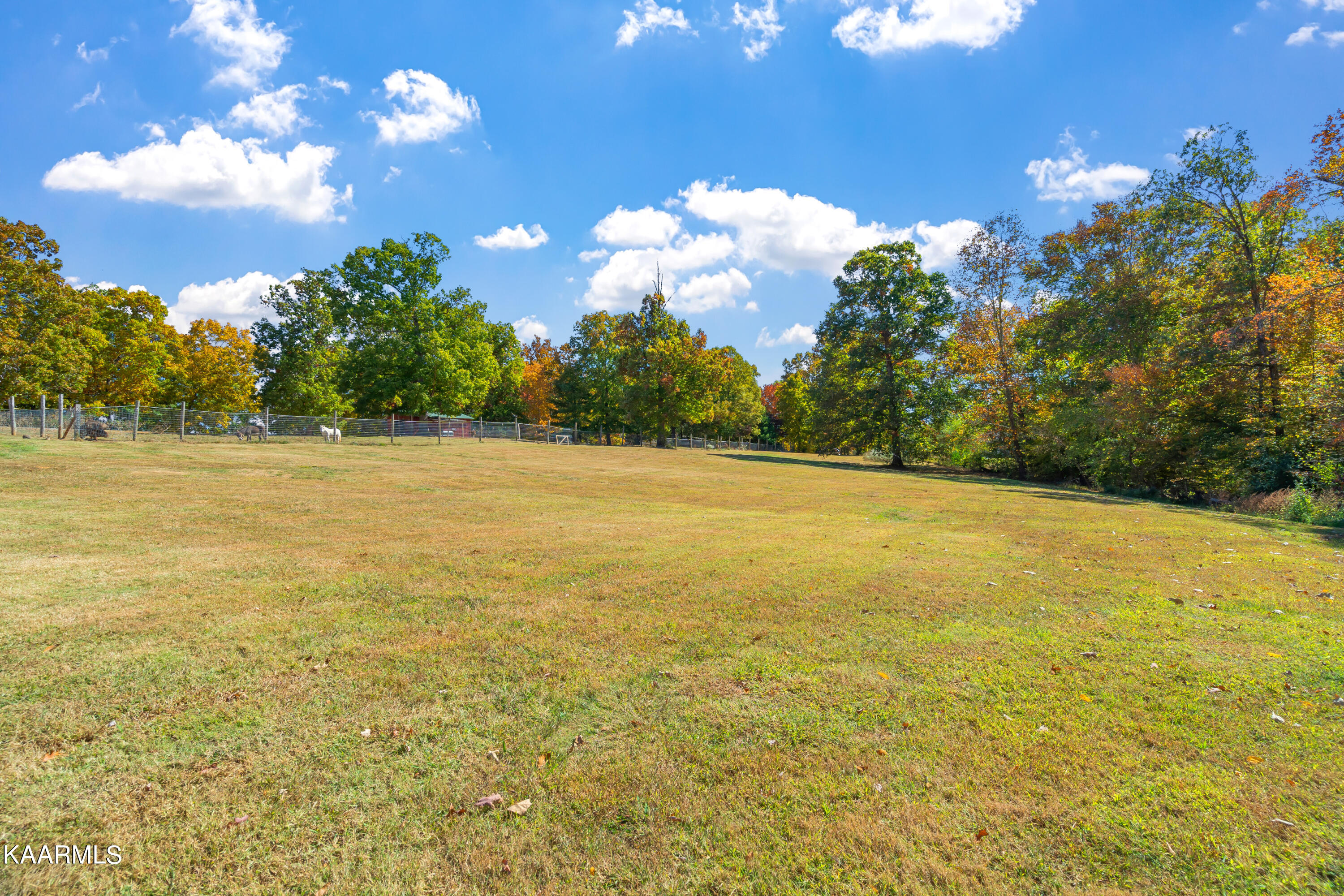 210 Curtis Road Tellico Plains, TN 37385 - Photo 42 of 57 210 Curtis Road-36