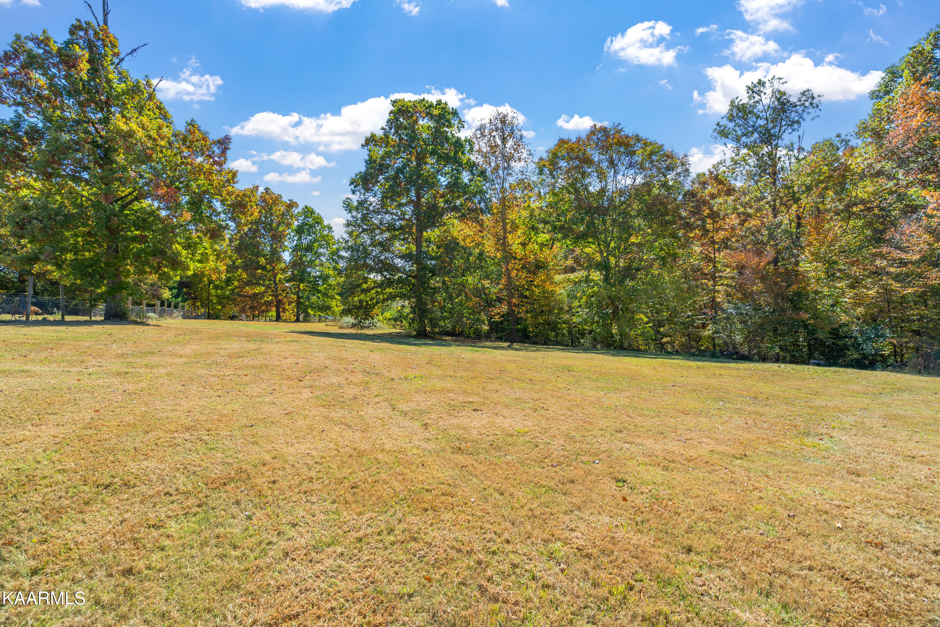 210 Curtis Road Tellico Plains, TN 37385 - Photo 43 of 57 210 Curtis Road-38