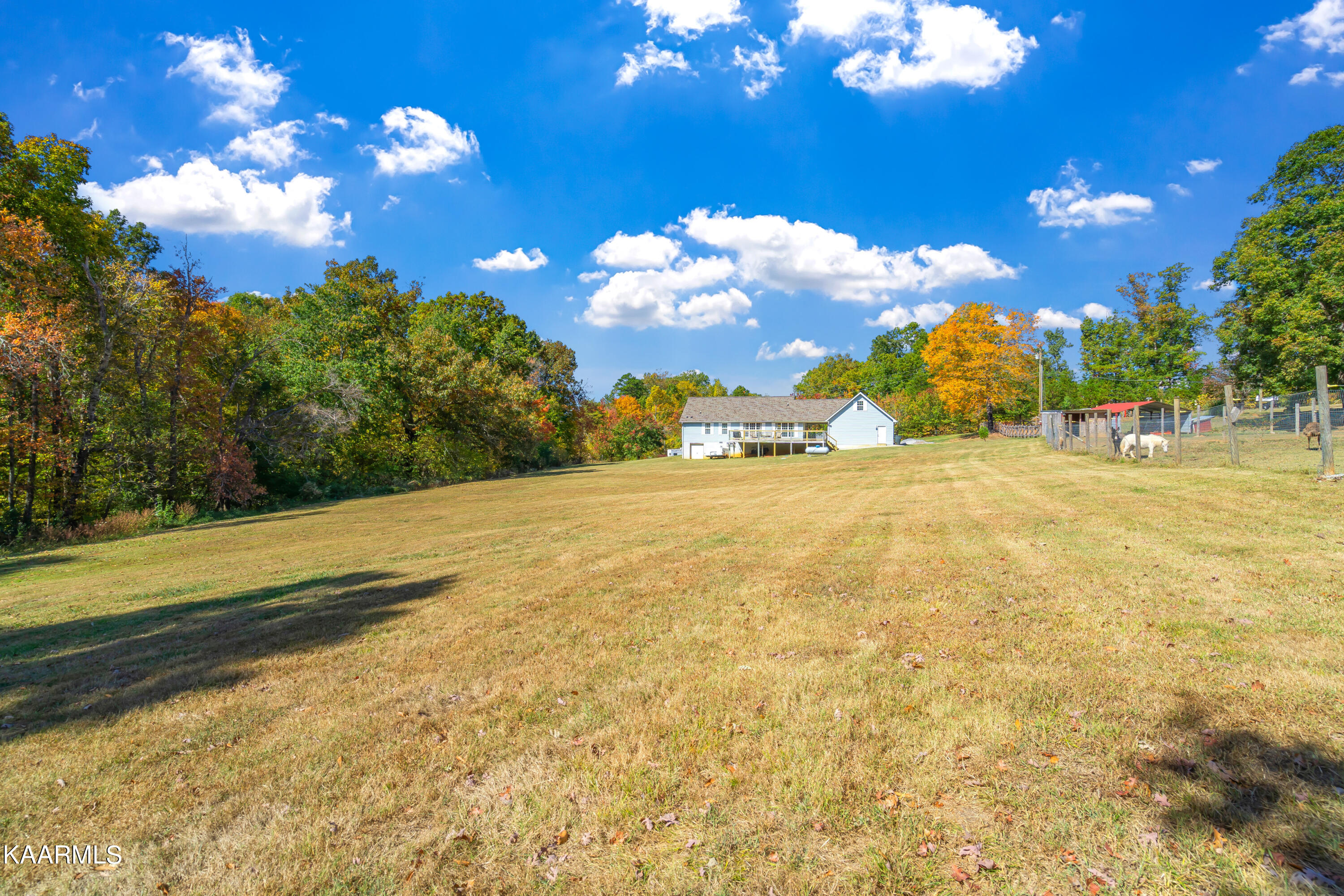 210 Curtis Road Tellico Plains, TN 37385 - Photo 45 of 57 210 Curtis Road-40