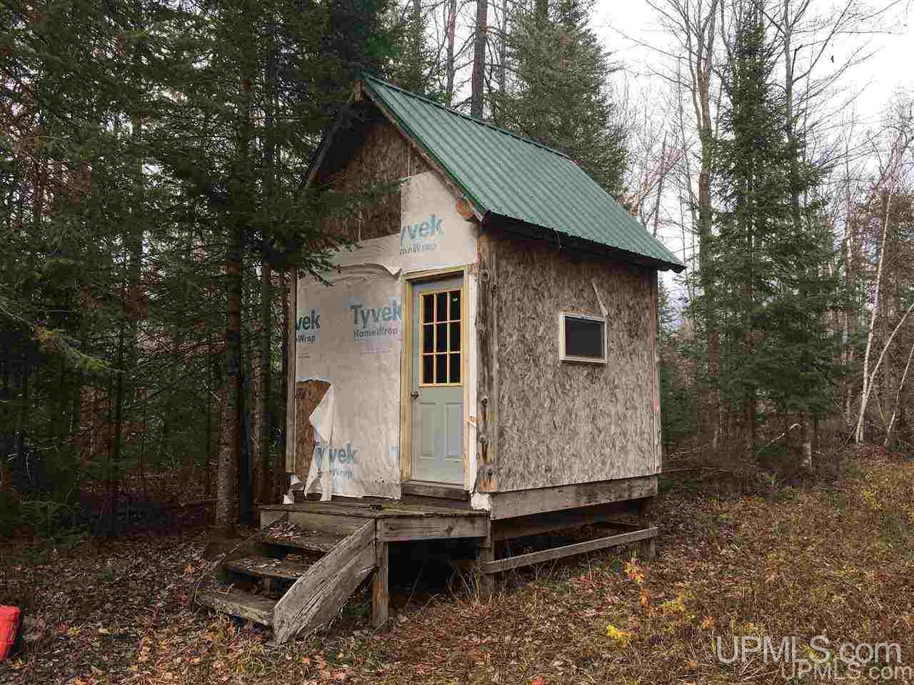 40-acres Off Cadeau Road Baraga, MI 49908 - Photo 18 of 19