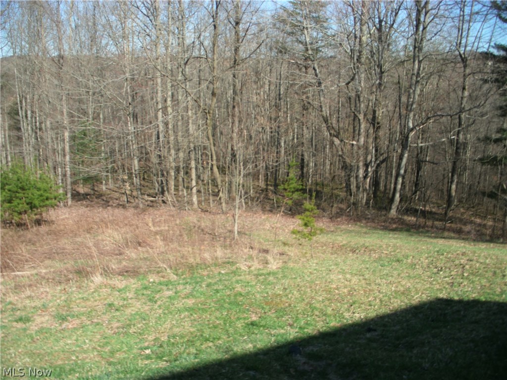 45015 Henthorne Road Woodsfield, OH 43793 - Photo 13 of 18
