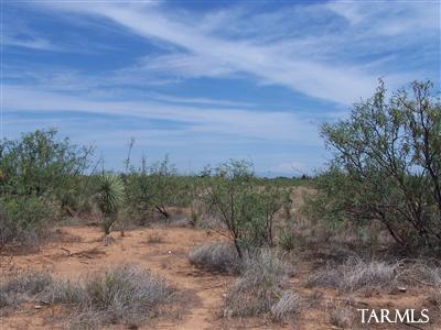 0 Clearview Road, Unit 5 AC Cochise, AZ 85606 - Photo 2 of 8