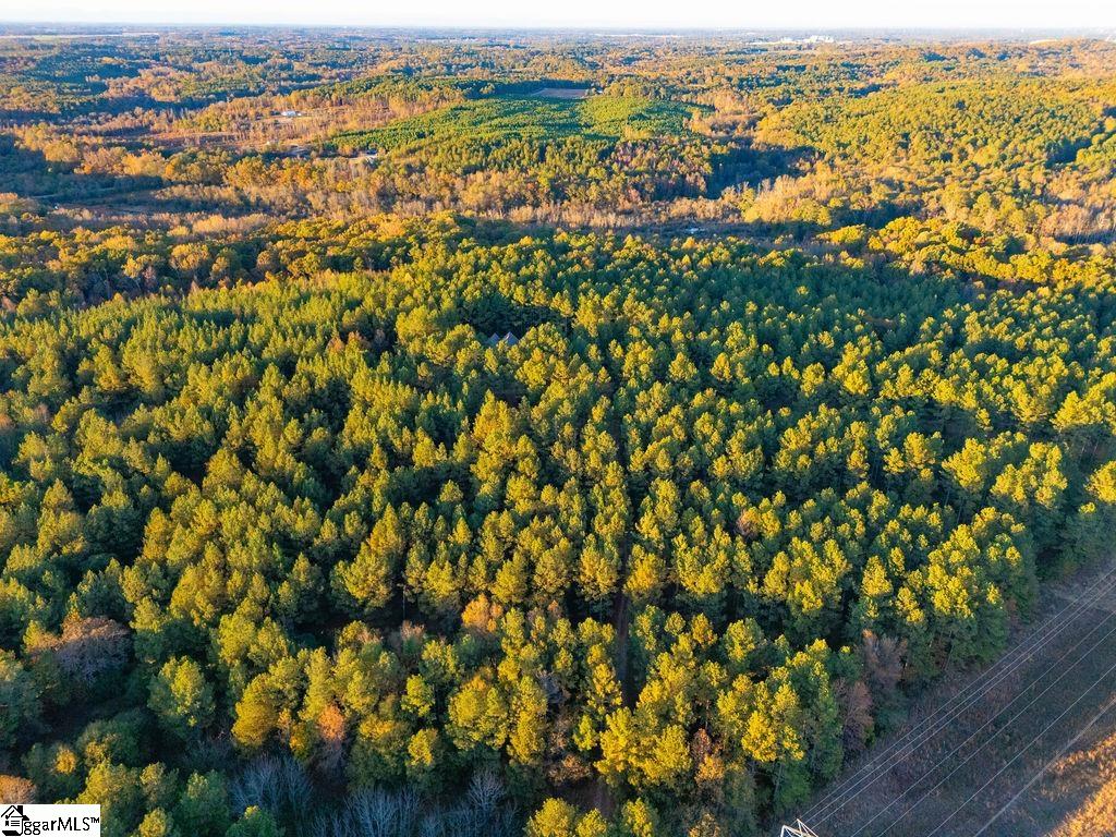 1907 Mountain Creek Church Road Starr, SC 29684 - Photo 25 of 31
