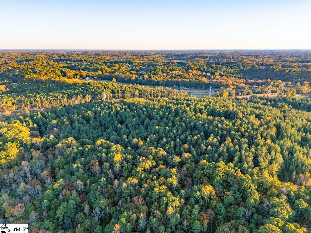 1907 Mountain Creek Church Road Starr, SC 29684 - Photo 29 of 31