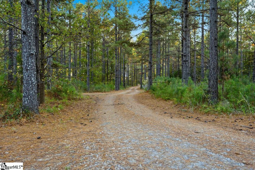 1907 Mountain Creek Church Road Starr, SC 29684 - Photo 7 of 31