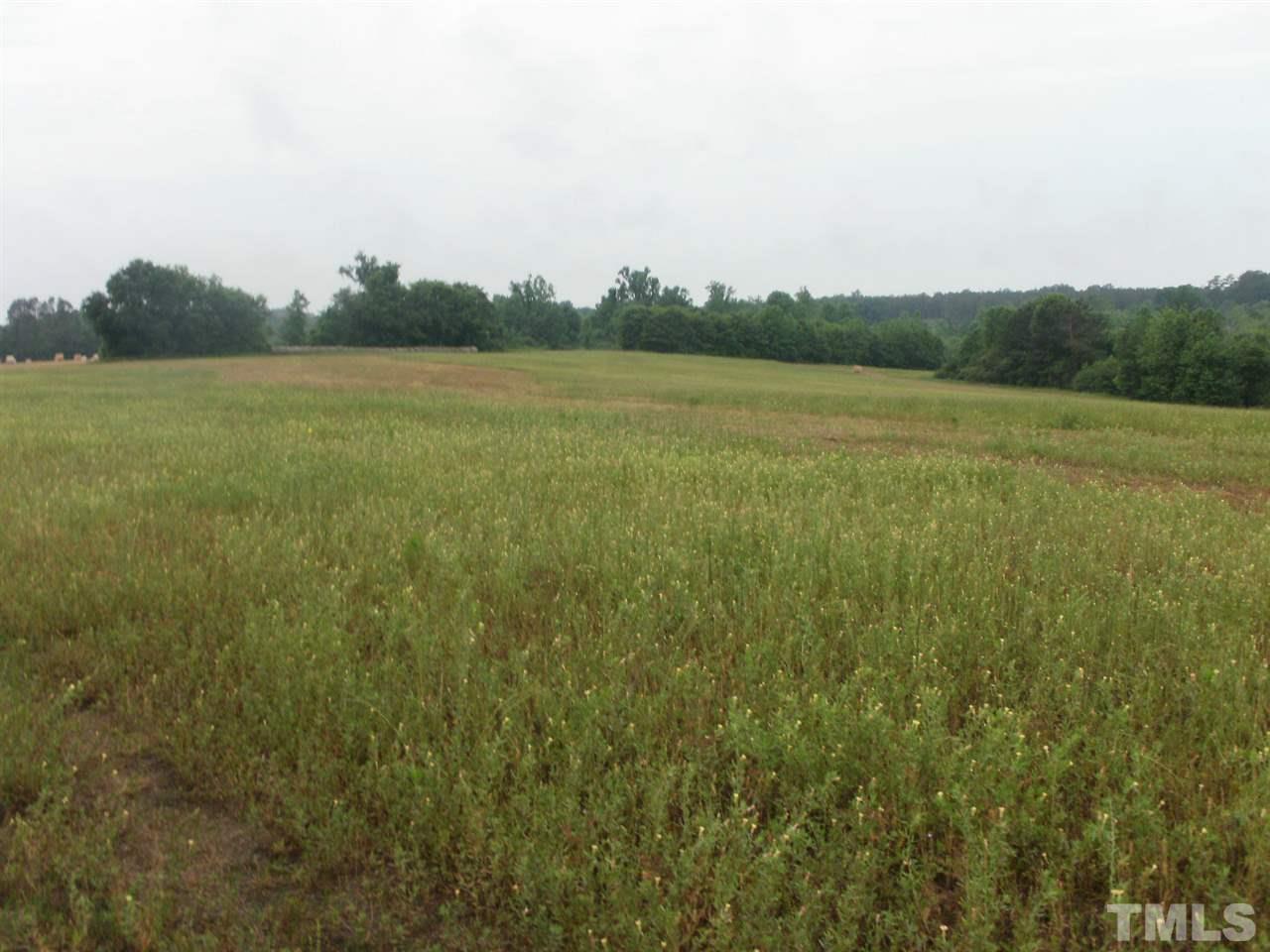 Off Turlington Road Dunn, NC 28334 - Photo 4 of 5 Gallery Image 4