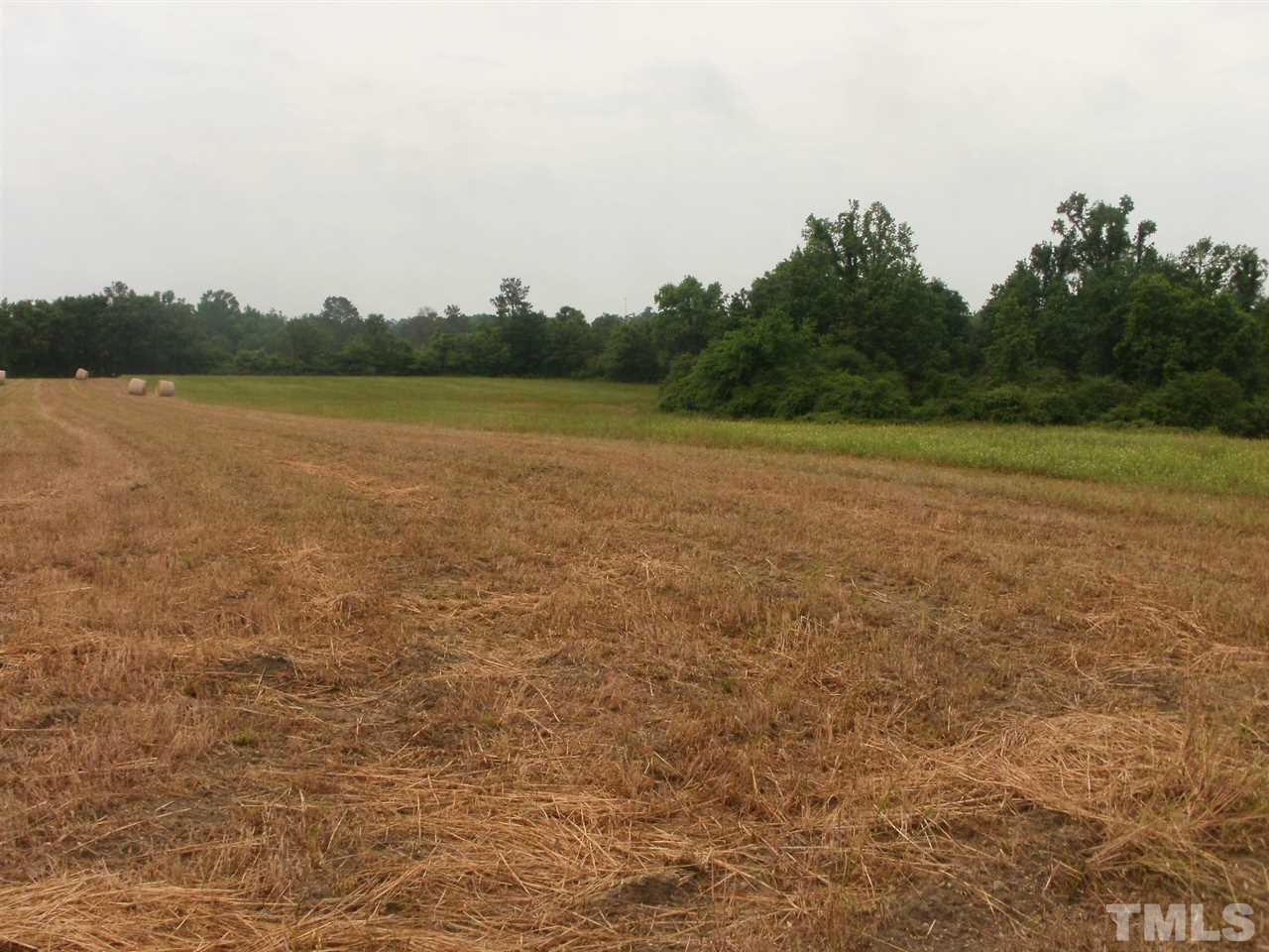 Off Turlington Road Dunn, NC 28334 - Photo 5 of 5 Gallery Image 5