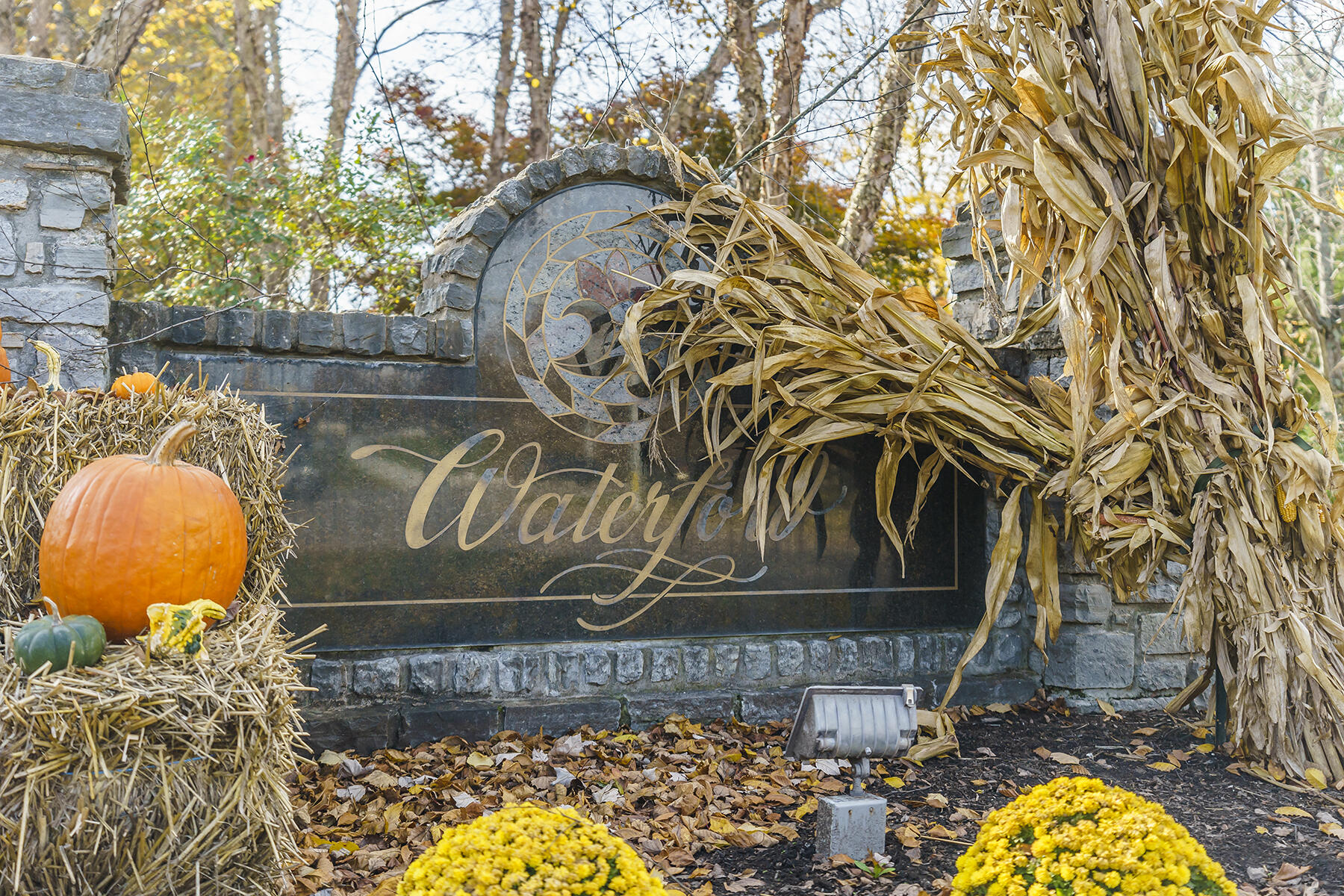 4432 River Ridge Road Lexington, KY 40515 - Photo 72 of 78 DSC03267 copy