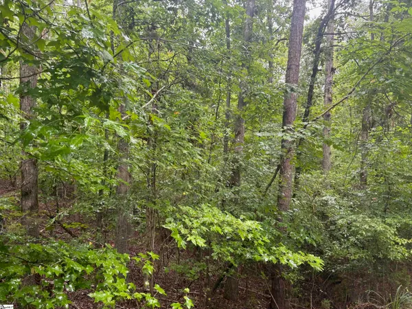 $19,000 | 0 Lake Forest Drive, Abbeville, SC 29620