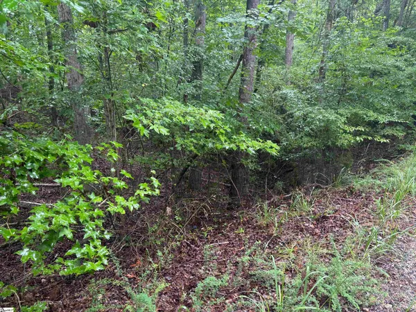 $19,000 | 0 Lake Forest Drive, Abbeville, SC 29620