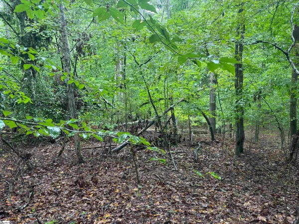 $19,000 | 0 Lake Forest Drive, Abbeville, SC 29620