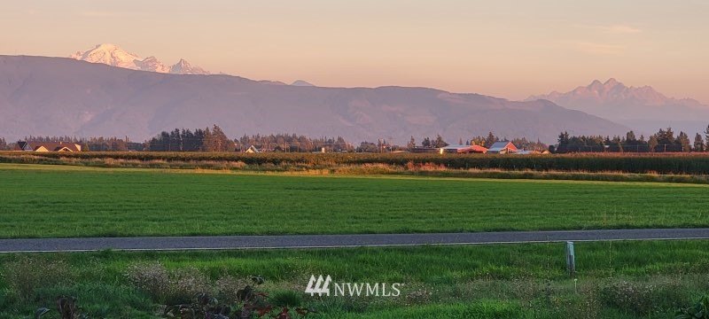 9147 Benson Road Lynden, WA 98264 - Photo 3 of 40 a view of a lush green hillside and houses