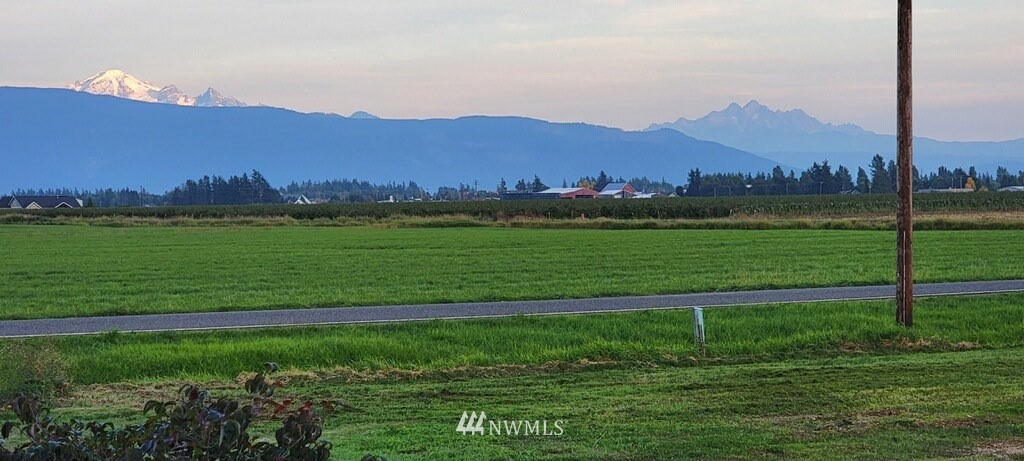 9147 Benson Road Lynden, WA 98264 - Photo 40 of 40 a view of a grassy field with mountain