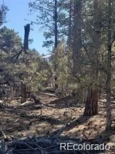 $13,500 | 2 Costilla Place, Mosca, CO 81146