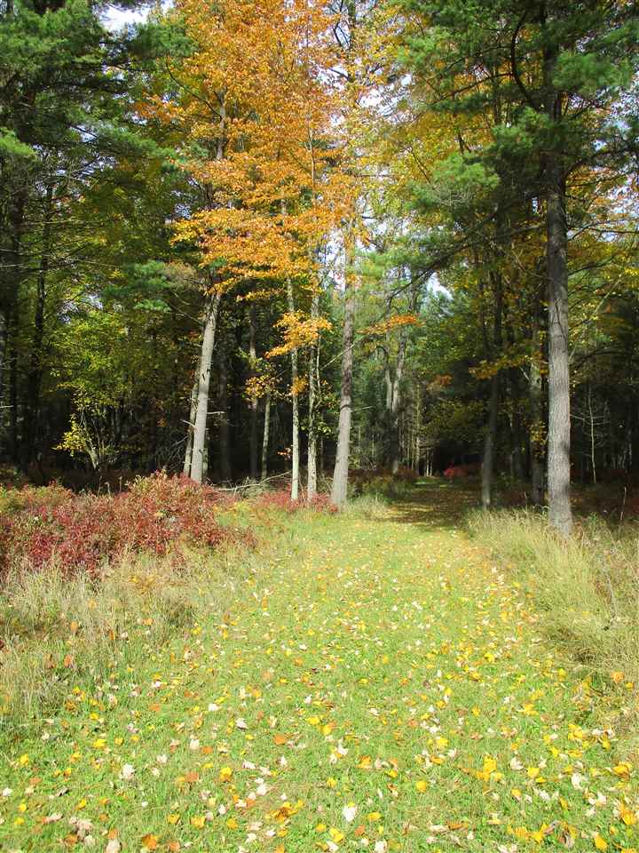 1546 Keystone Road Tawas City, MI 48763 - Photo 27 of 43 1881448-26.JPG