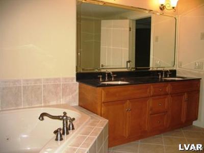 3620 Manor Road Bethlehem, PA 18020 - Photo 47 of 47 Lower level bath with double sinks and custom cabi