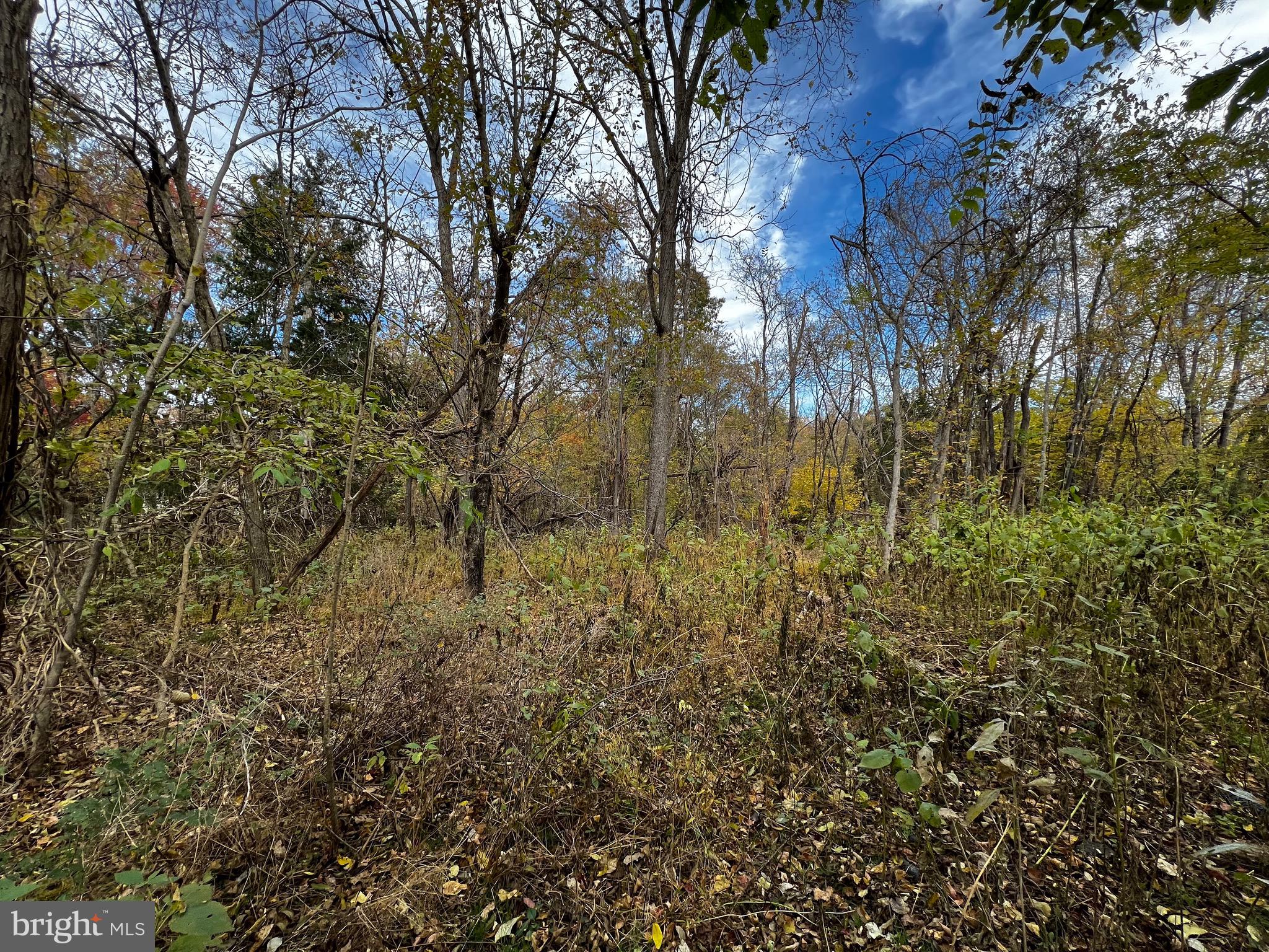 Lot 127 Poplar Road Front Royal, VA 22630 - Photo 5 of 8 Gallery Image 5