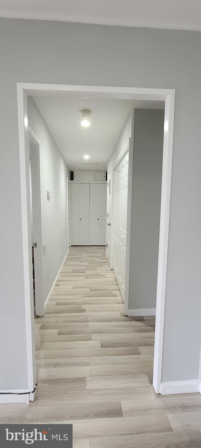 14924 Hydrus Road Silver Spring, MD 20906 - Photo 15 of 41 Hallway