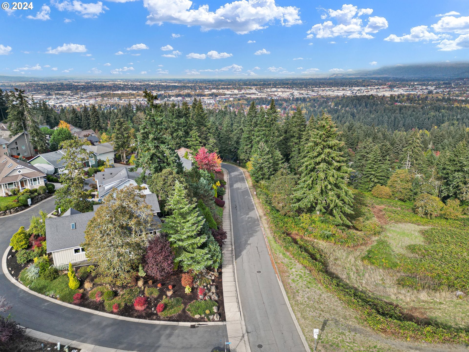 3321 Bentley Avenue Eugene, OR 97405 - Photo 46 of 48 a view of a lake with a mountain
