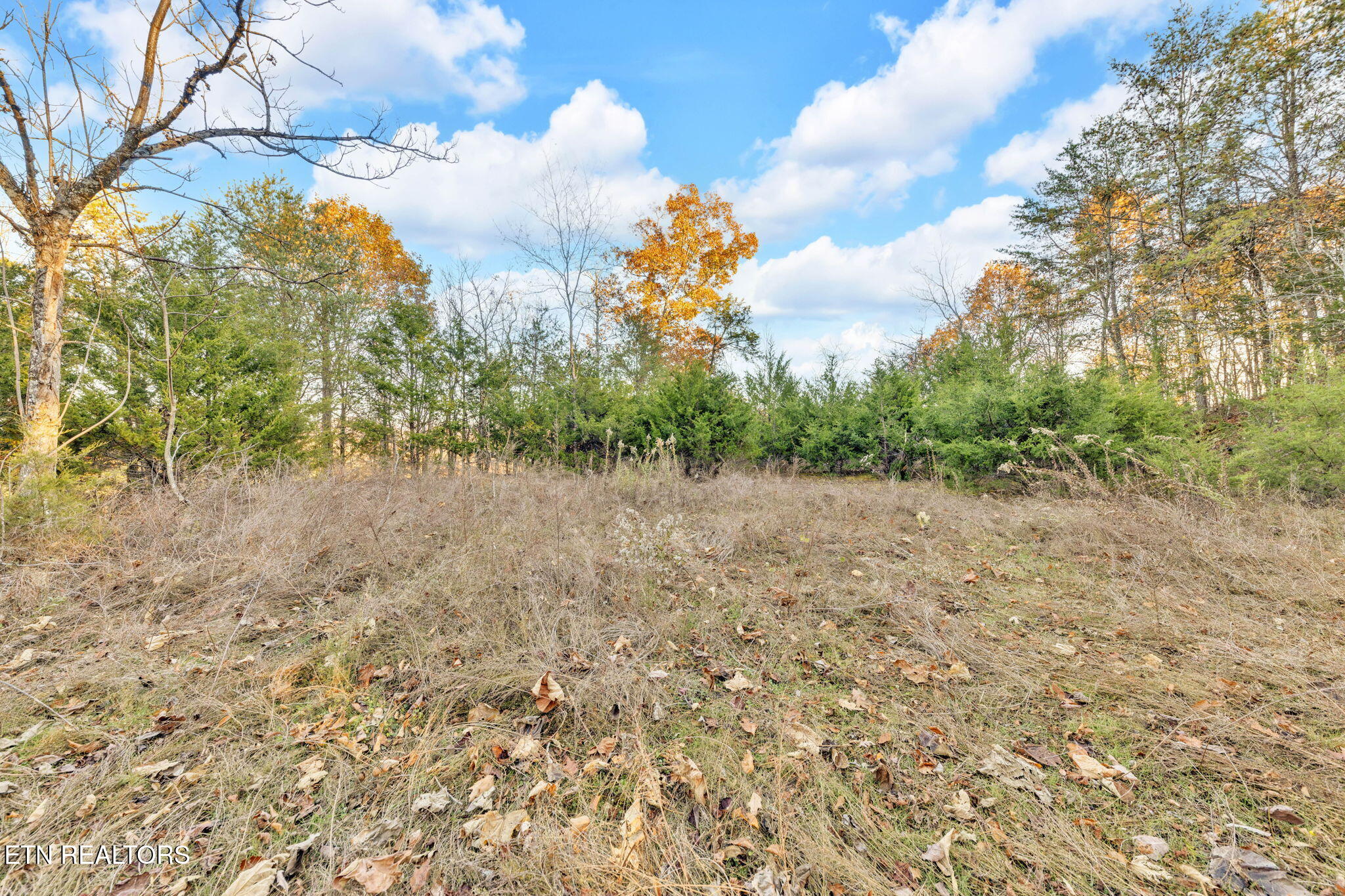 Lot 27 Caywood Road Dandridge, TN 37725 - Photo 14 of 17 16-web-or-mls-Lot 27 Caywood Dr Dandridg