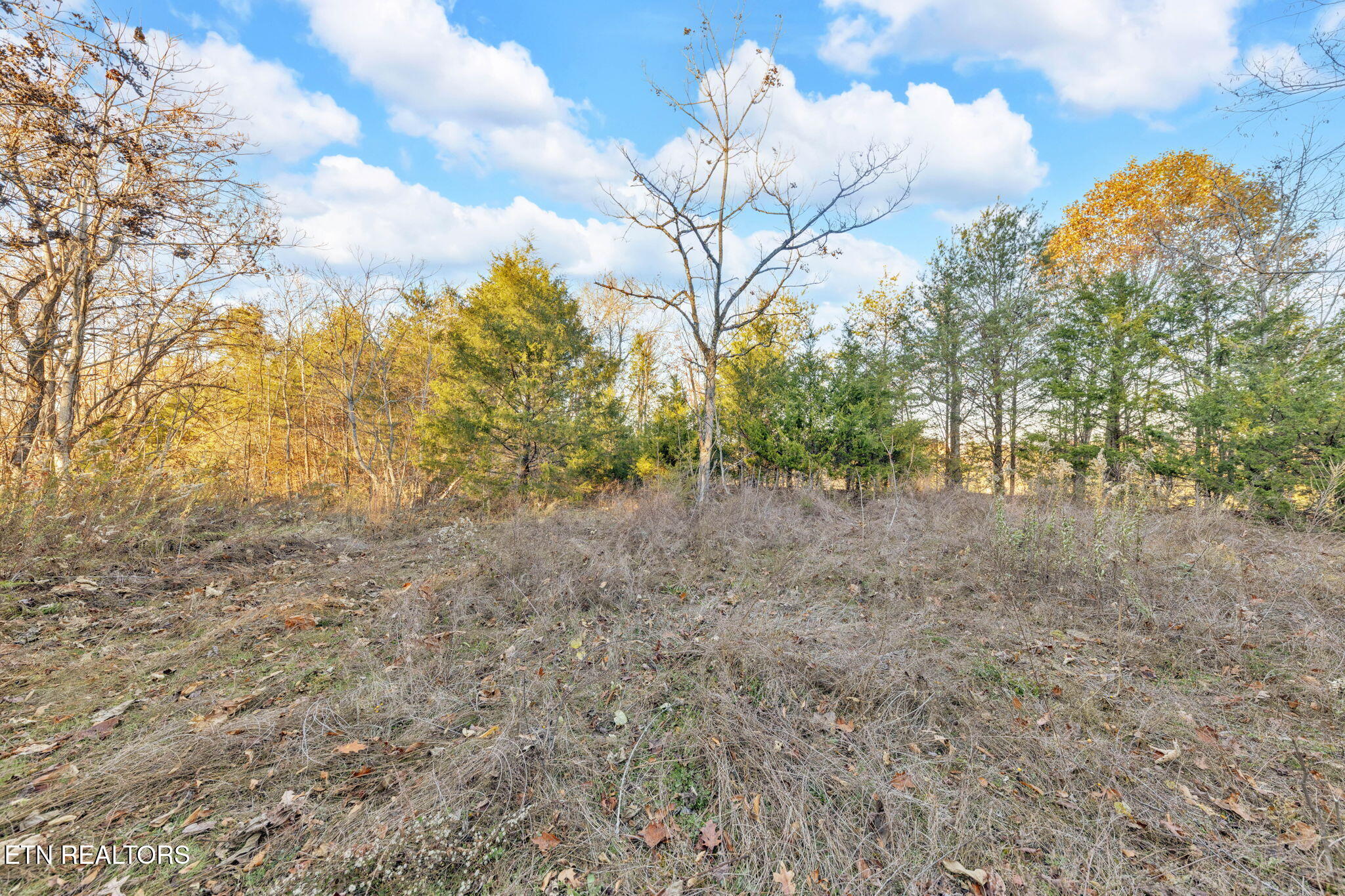 Lot 27 Caywood Road Dandridge, TN 37725 - Photo 15 of 17 17-web-or-mls-Lot 27 Caywood Dr Dandridg