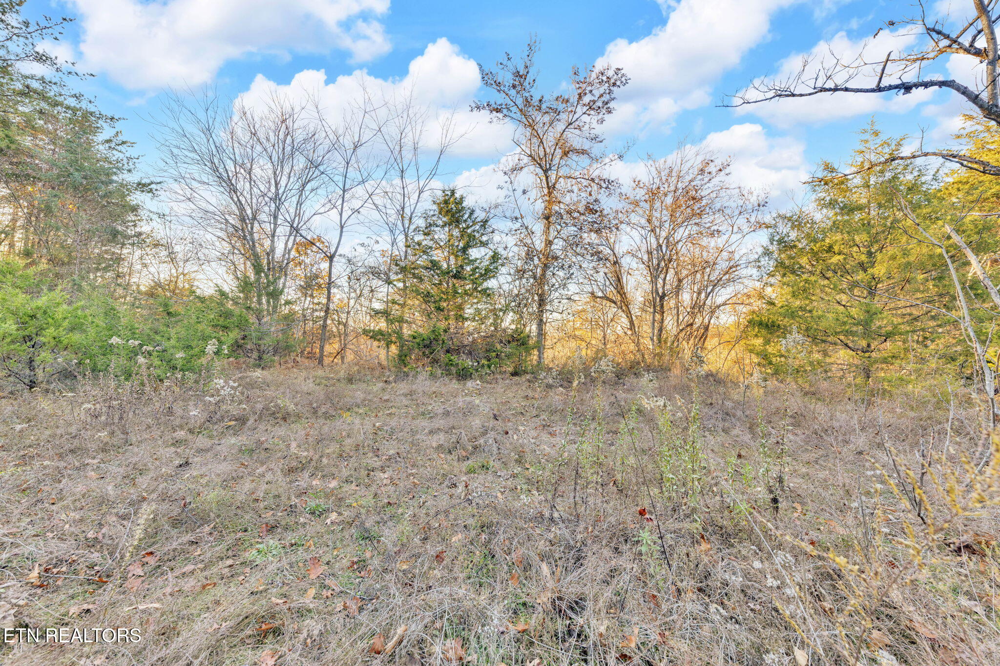 Lot 27 Caywood Road Dandridge, TN 37725 - Photo 16 of 17 18-web-or-mls-Lot 27 Caywood Dr Dandridg