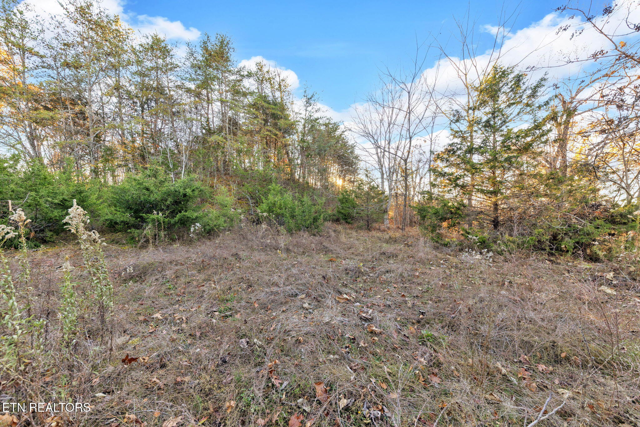 Lot 27 Caywood Road Dandridge, TN 37725 - Photo 17 of 17 19-web-or-mls-Lot 27 Caywood Dr Dandridg