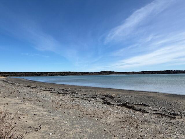 53 Pleasant Street Lubec, ME 04652 - Photo 64 of 68