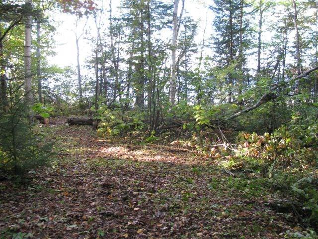 0 Stephens Road Oquossoc, ME 04964 - Photo 6 of 17 Photo