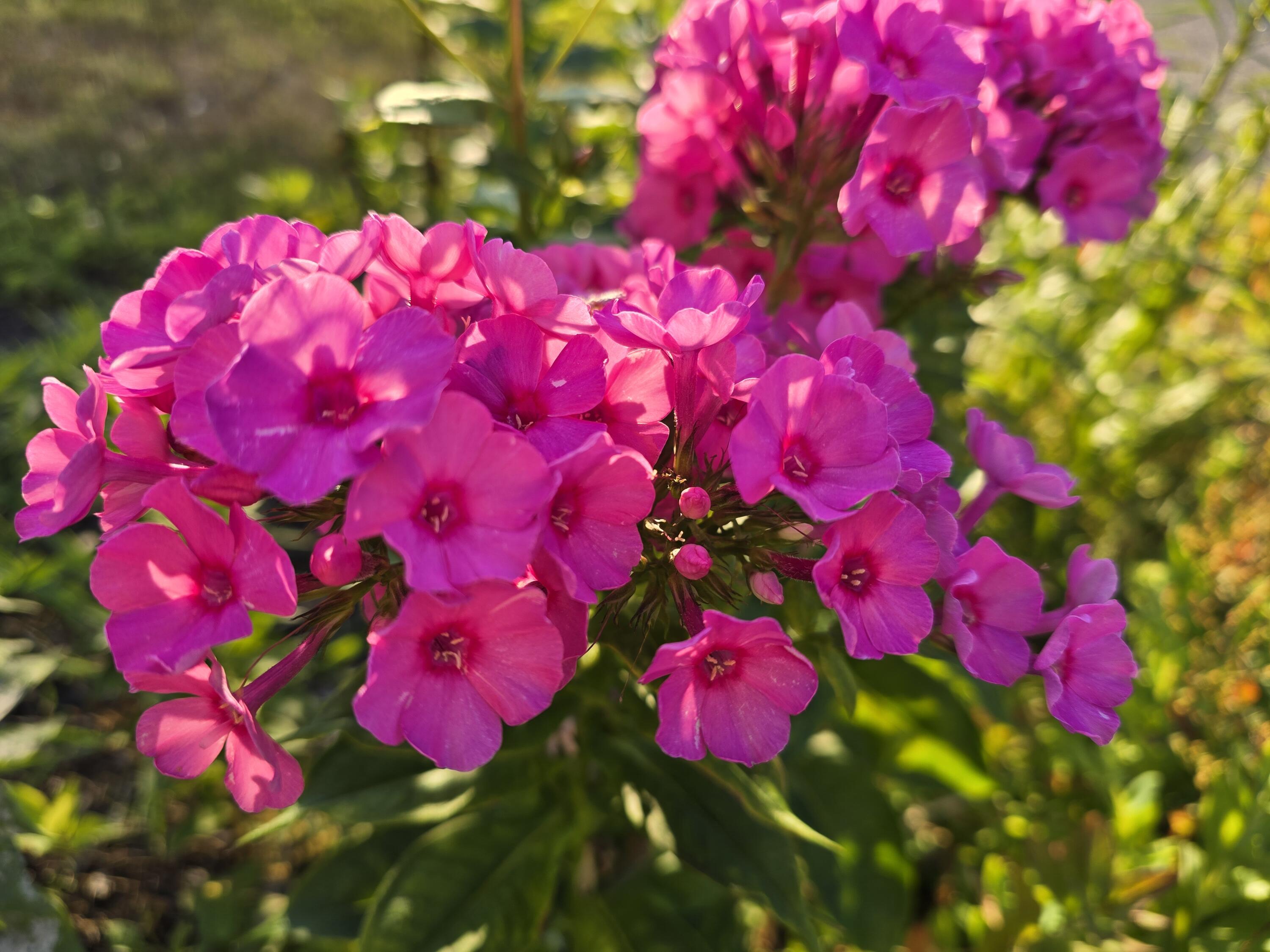 27 Pepperell Street, Unit 1 Saco, ME 04072 - Photo 11 of 16 27 Pepperell Street