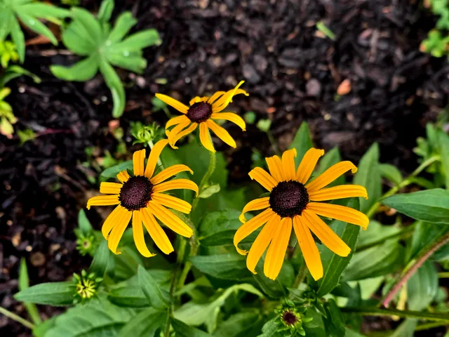 $289,000 | 27 Pepperell Street, Unit 1, Saco, ME 04072