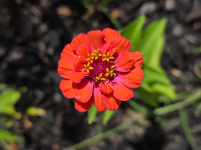 $289,000 | 27 Pepperell Street, Unit 1, Saco, ME 04072