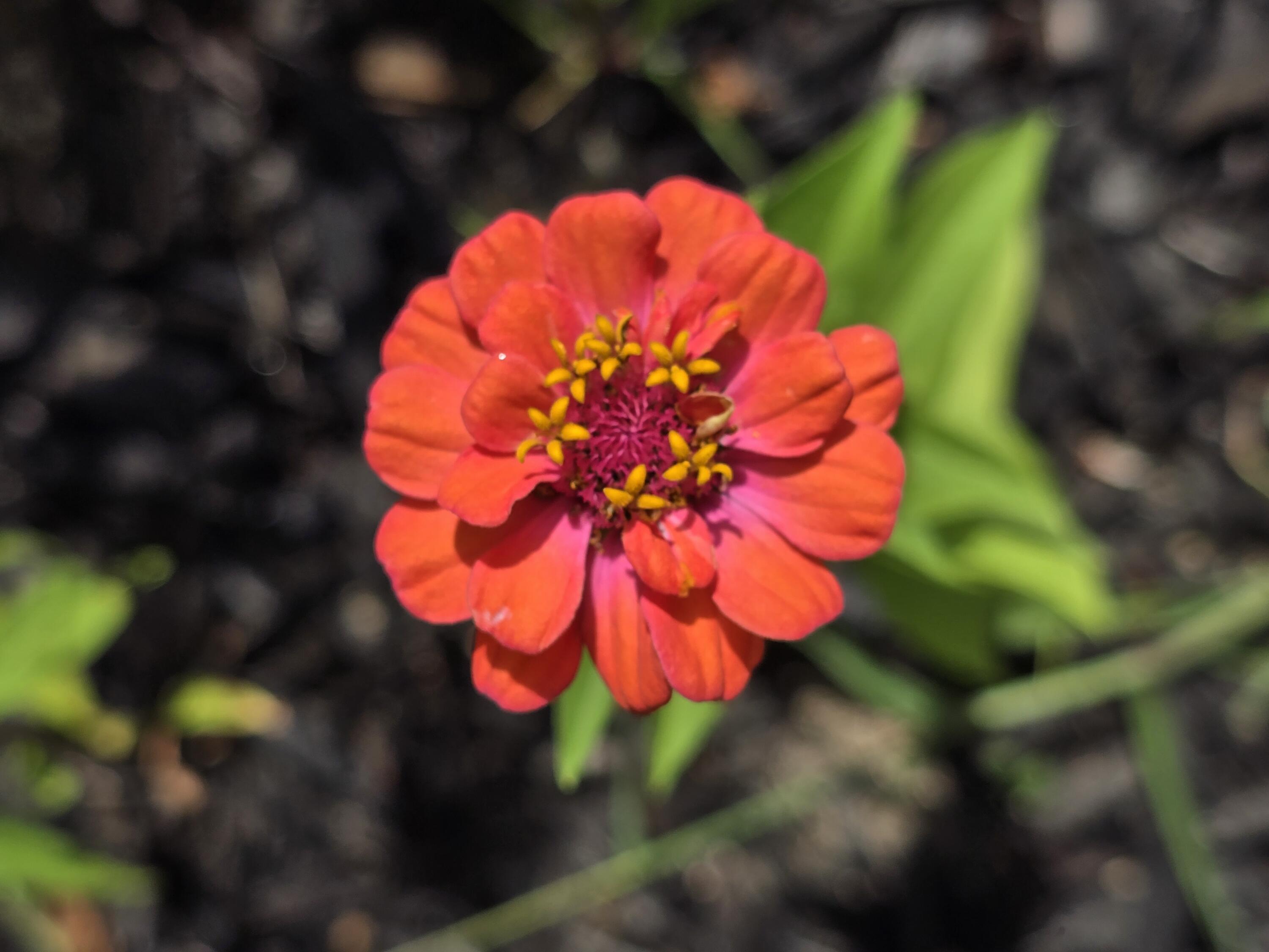 27 Pepperell Street, Unit 1 Saco, ME 04072 - Photo 13 of 16 27 Pepperell Street