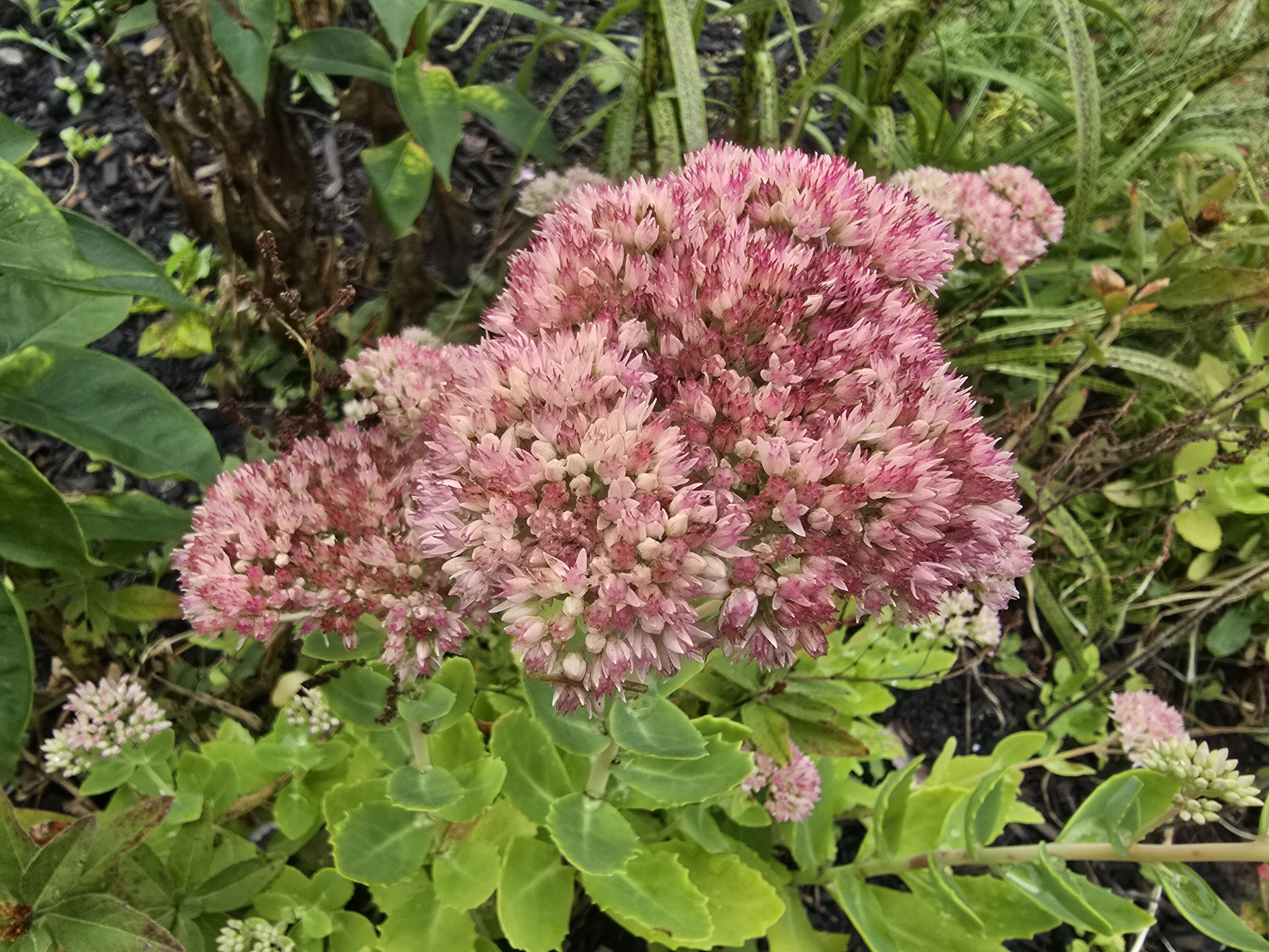 27 Pepperell Street, Unit 1 Saco, ME 04072 - Photo 14 of 16 27 Pepperell Street