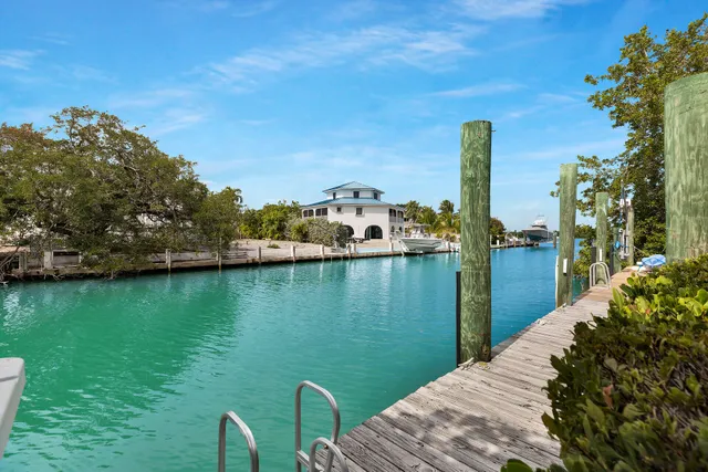 a view of a backyard with plants and a lake view