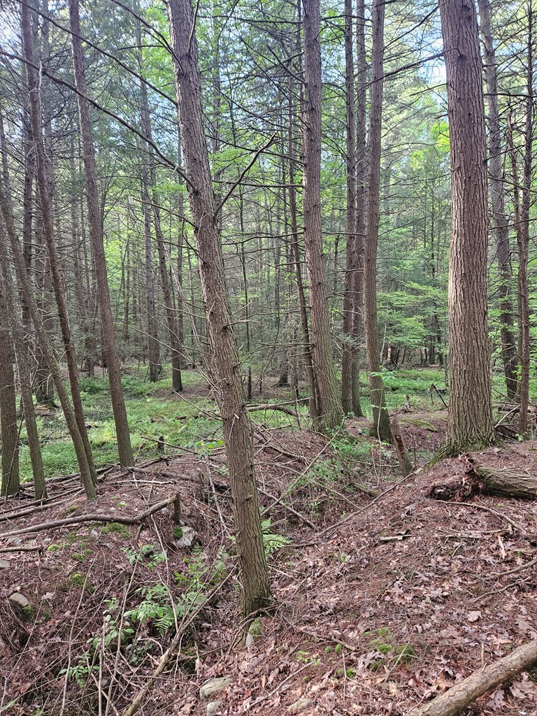 0 Hares Valley Road Mapleton Depot, PA 17052 - Photo 17 of 28 Gallery Image 17
