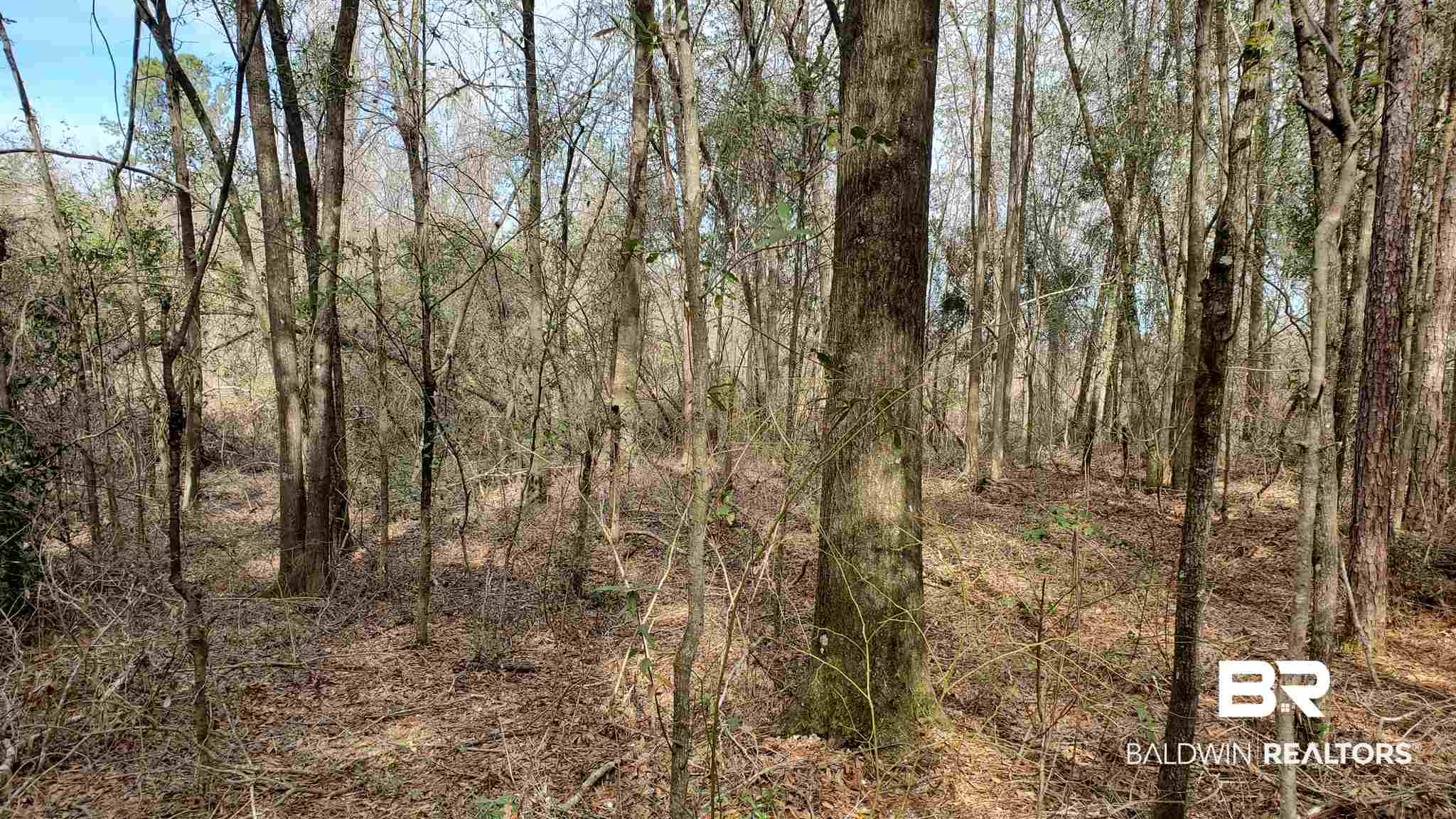 23900 McCoy Road Perdido, AL 36562 - Photo 22 of 23