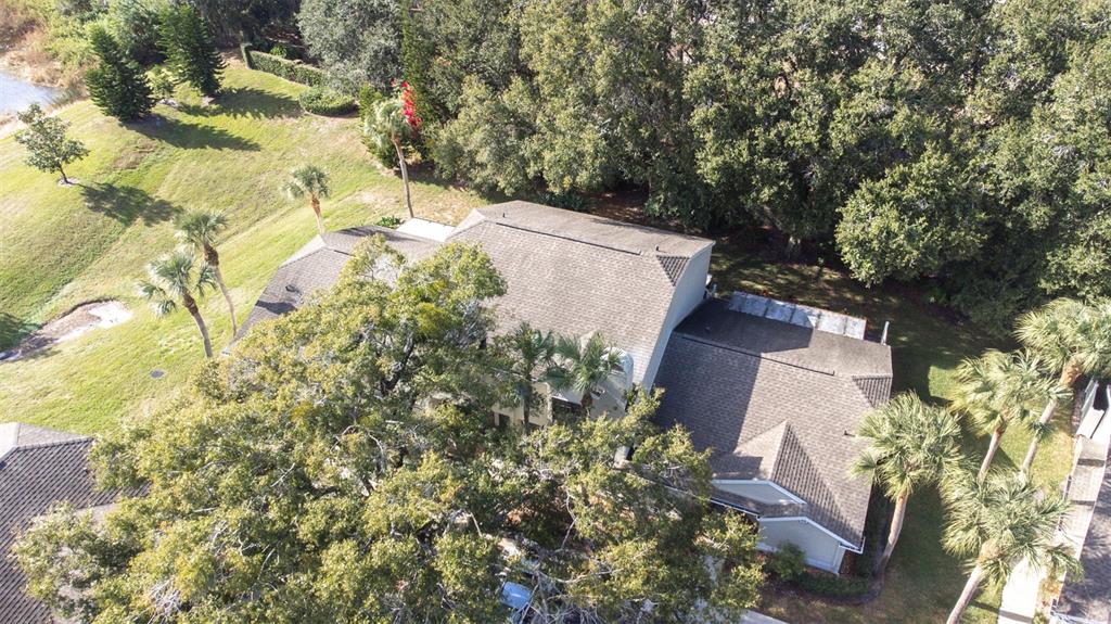 5100 Burchette Road, Unit 4102 Tampa, FL 33647 - Photo 40 of 47 Gallery Image 40