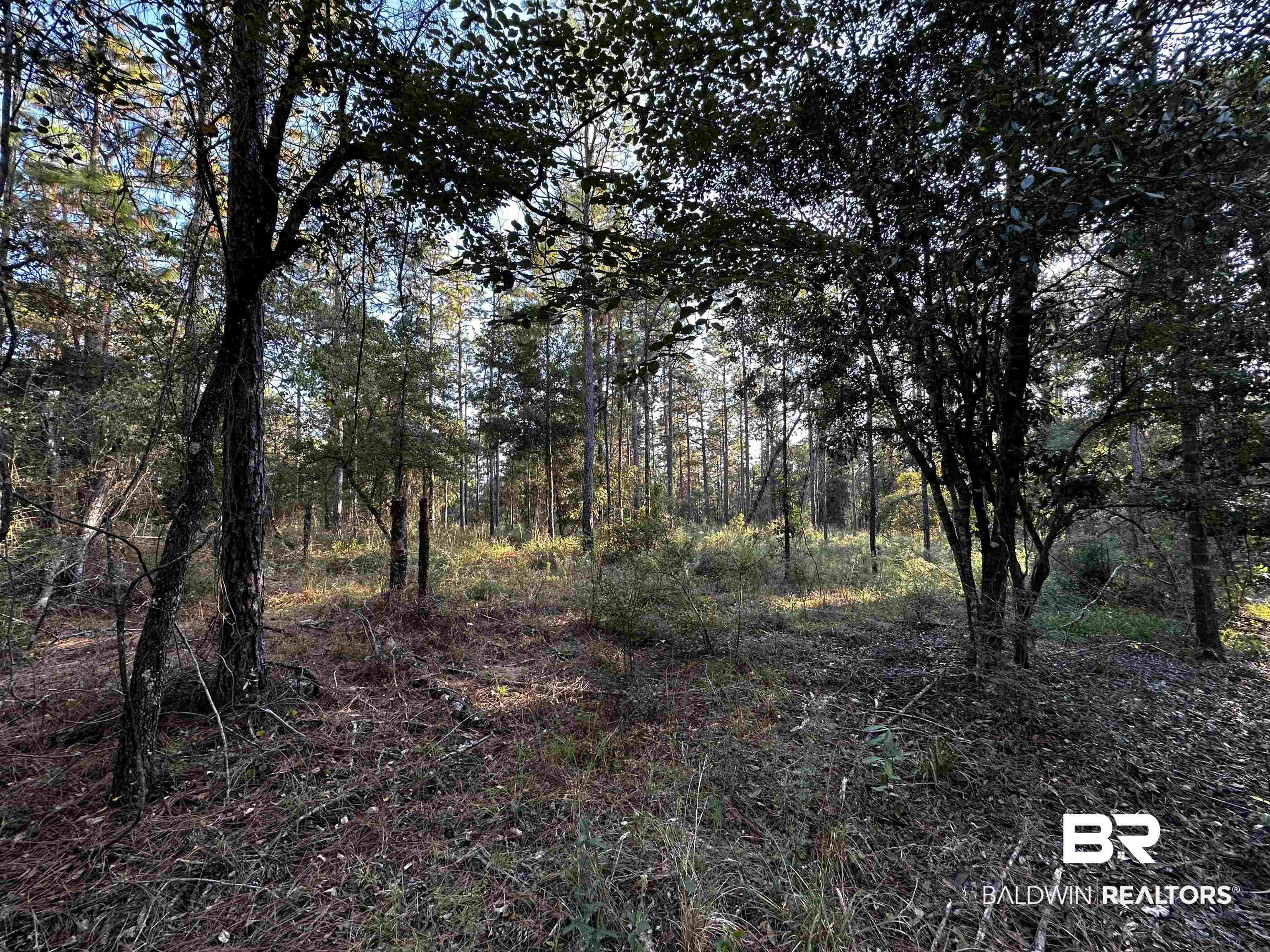 6 Bromley Road Bay Minette, AL 36507 - Photo 2 of 2