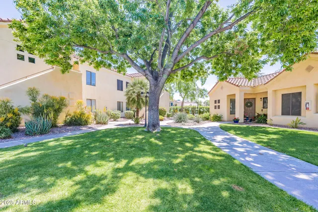 a view of a house with backyard and a tree