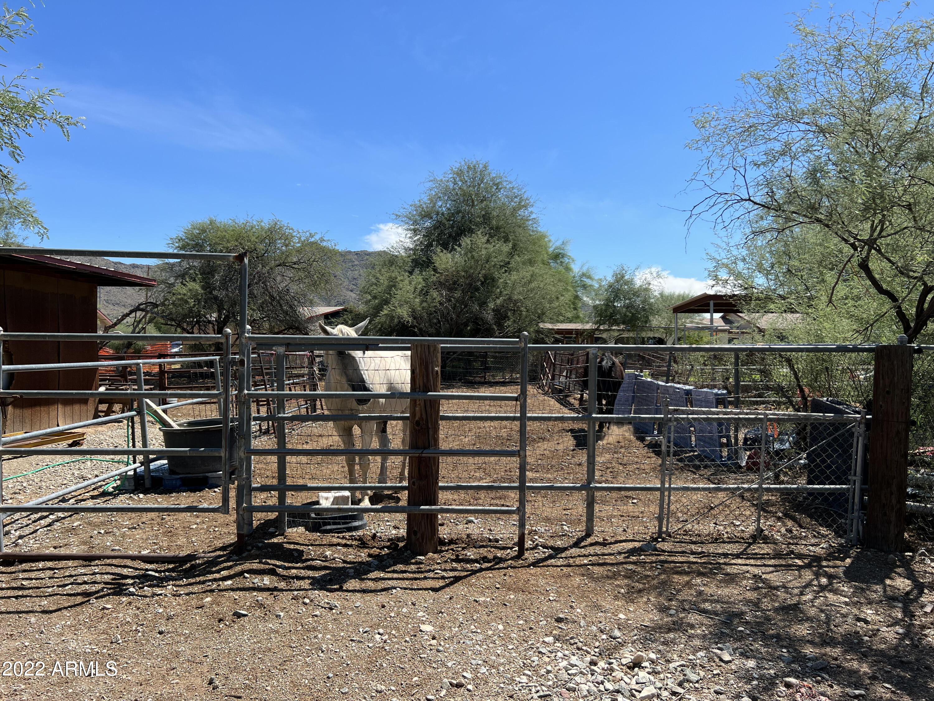 3231 West Elliot Road Laveen, AZ 85339 - Photo 52 of 59 IMG_3634