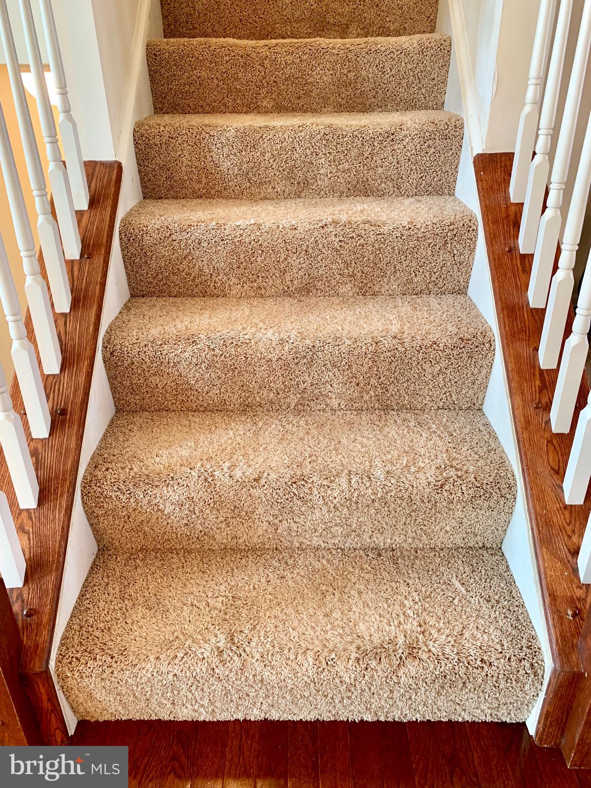 2808 Admiral Ridge Road Accokeek, MD 20607 - Photo 34 of 60 UPGRADED CARPET AND PADDING LEADING TO 3RD LEVEL
