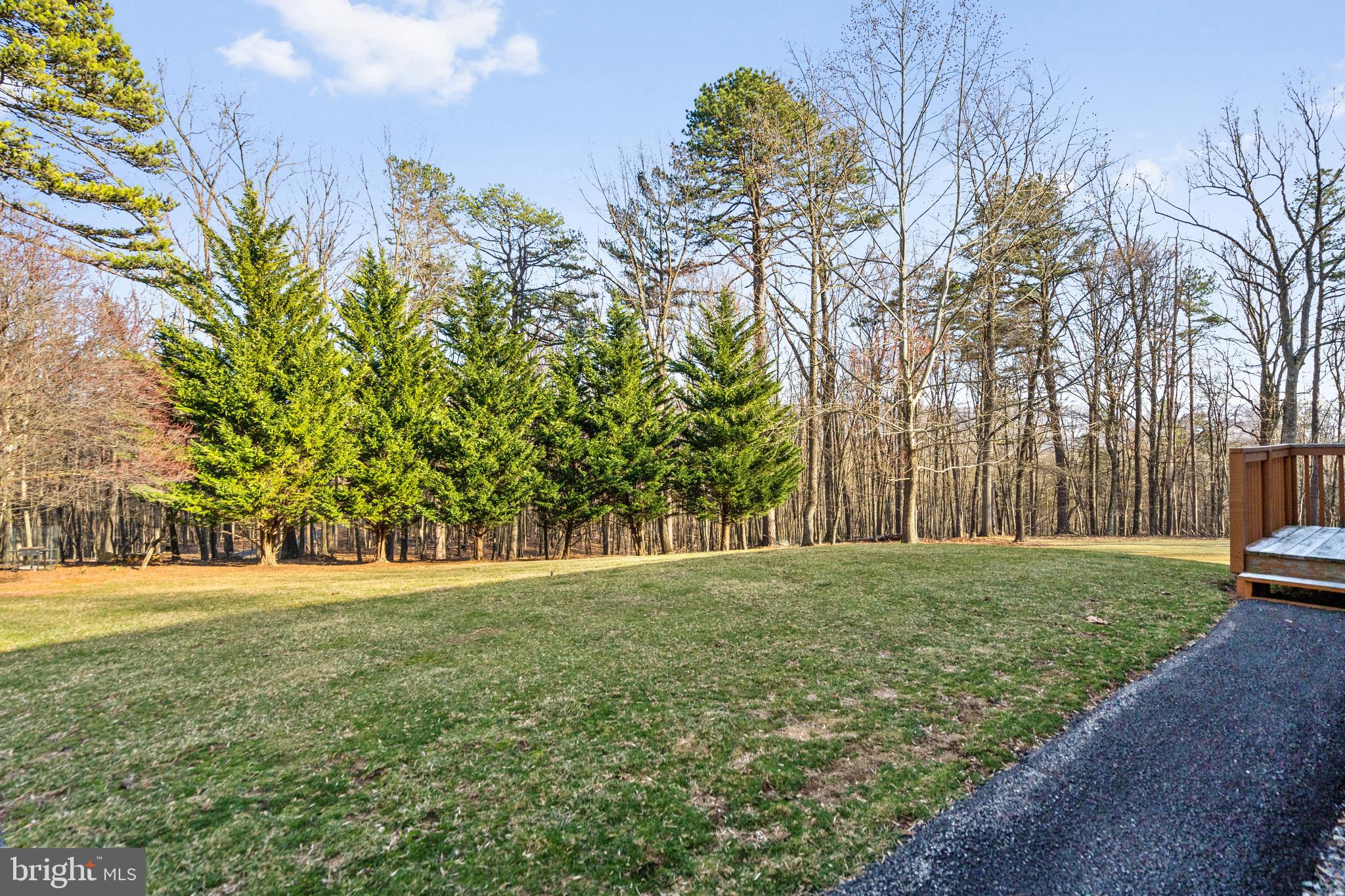 699 Whitacre Road Gore, VA 22637 - Photo 22 of 44 Gallery Image 22